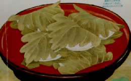 NHKきょうの料理　5月号