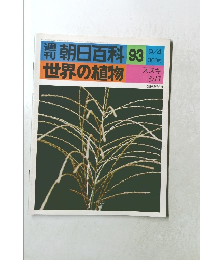 週刊　世界の植物93　世界の植物　ススキシバ
