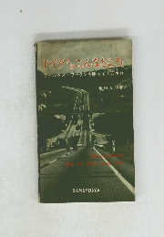 ドイツこんなところ フォルクスワーゲンを駆って4万キロ