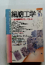 細胞工学　Vol.15 No.10　1996年10月号