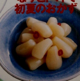 NHKきょうの料理　1995年6月