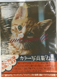 ねこ写真・西川治