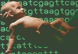 朝日百科　動物たちの地球　12　９/8号