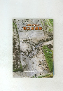 三重県上野市比士 城之越遺跡 1991-12