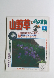山野草とミニ盆栽　1997年7月号 VOL. 3