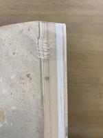 大阪案内記 : 御大典記念