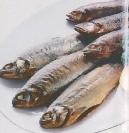 手づくり食品百科