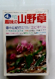 趣味の山野草　1996年4月号