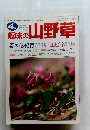 趣味の山野草　1996年4月号