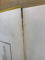 戦場絵日記 : 藤田少佐遺稿