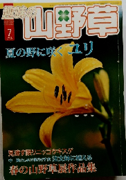 趣味の山野草　2010年7月号　Vol.360