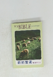 THE BIBLE NEW TESTAMENT 
