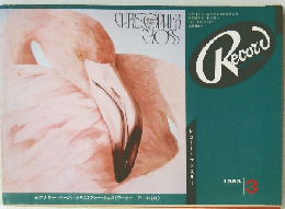 Record　1983年3月号