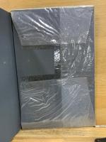 日露大戰史 : 全