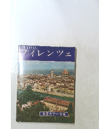 フィレンツェ 全市カラー写真