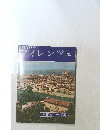 フィレンツェ 全市カラー写真