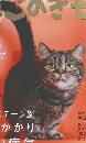 ねこのきもち　2018年10月号　Vol.161