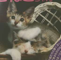 私は0オ　こねこちゃん　