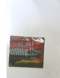 観心寺　華やぎの風景