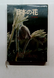 日本の花