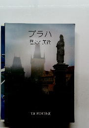 プラハ歴史と美術