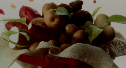 素材クッキング　 11　いも