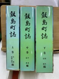 飯島町誌　上中下