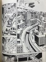 オキナワ　劇画で描いた沖縄報告