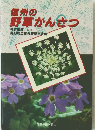 信州の野草かんさつ