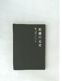 菱川善夫評論集　飢餓の充足