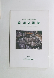 茅部郡森町埋蔵文化財調査報告書 森川 2 遺跡