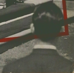 読売報道写真集　1960年