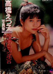 高橋えつ子瑠褐色の迷宮