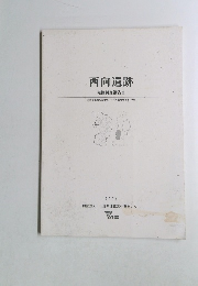 西向遺跡　発掘調査報告書2004