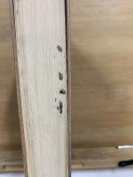 陽だまりの樹　小学館叢書