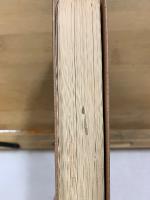 陽だまりの樹　小学館叢書