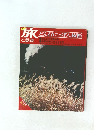 旅と鉄道　どん行にっぽん縦断　No.9