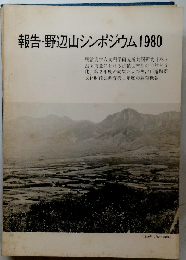 報告・野辺山シンポジウム1980
