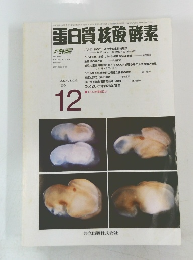 蛋白質核酸酵素　1995　12