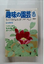 趣味の園芸 1981年6月号