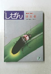 キンダーブック 3 ほたる