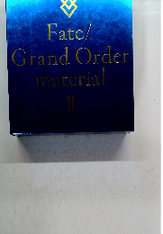 Fate/Grand Order material II