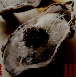 理栄養を料理　2001年21月