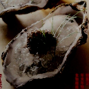 理栄養を料理　2001年21月