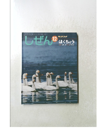 しぜん　はくちょう　平成20年12月1日発行