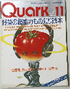Quark　11　１９８９年