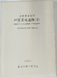 戸原麦尾遺跡(II)