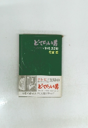 どてらい男　第4巻激流篇