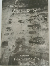 中新田町文化財調査報告書第4　集城生柵跡　１９８０年3月号