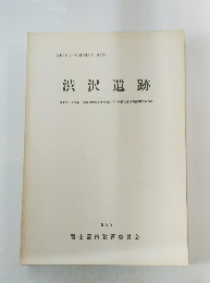 富士宮市文化財調査報告書 第13集 渋沢遺跡　１９８９